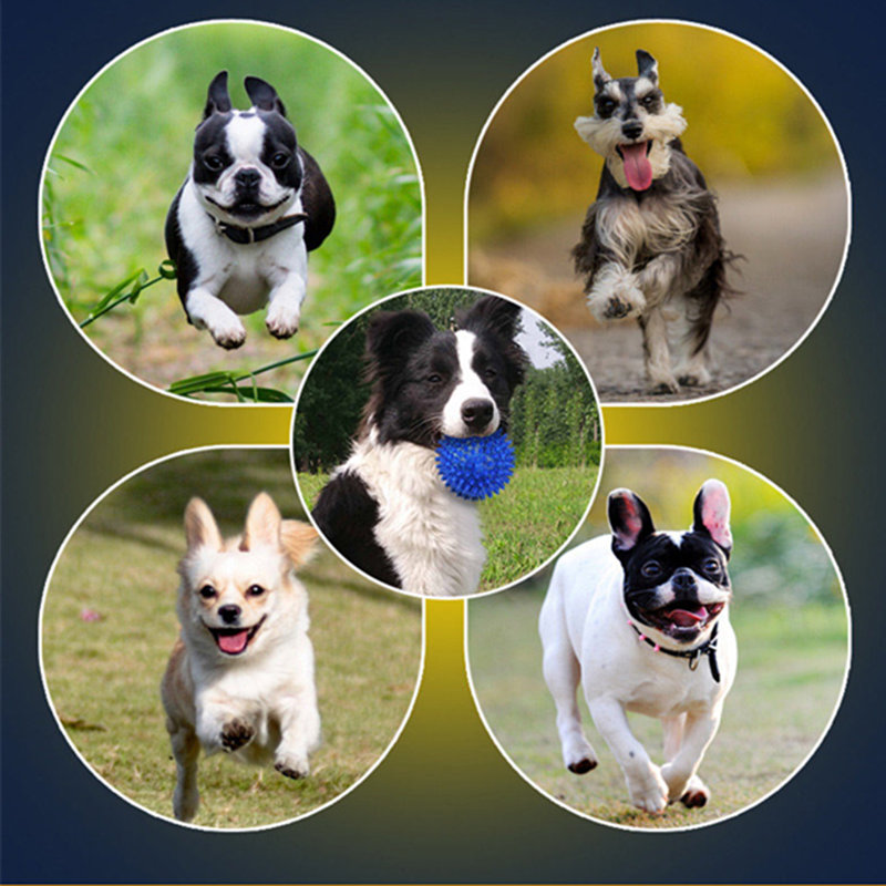 كيفية الحد من القوة التدميرية الكلاب