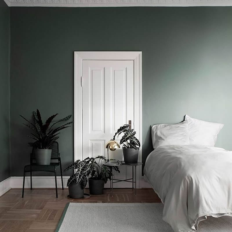 أي نوع من الأثاث لا تقلق بشأن استيراد الأثاث في فصل الصيف؟