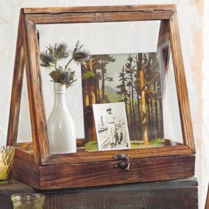 حالة عرض الزجاج