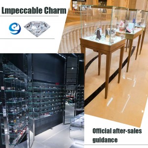 تخصيص عرض مجوهرات مجموعة فاخرة عرض مجلس الوزراء عرض على محل مجوهرات