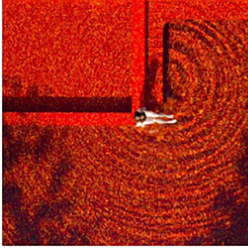 أحواض تايلاند الملونة بشكل فريد