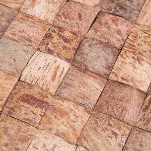 التصميم الإبداعي الطبيعية جوز الهند شل فسيفساء بلاط الديكور الجدار