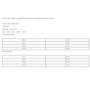G80 إسقاط مزورة الأوروبي نوع تحميل الموثق مع خطاطيف السلامة