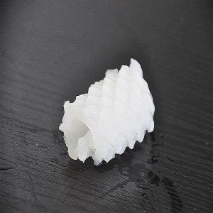 زهرة الحبار المجمدة