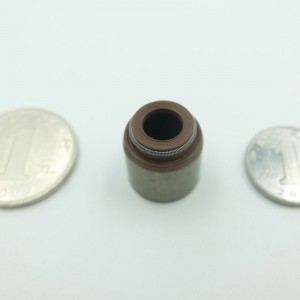 أعلى جودة FKM المطاط صمام الجذعية الأختام للسيارات تشانجان