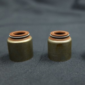 الصين مورد صمام ختم النفط الجذعية للسيارات رينو