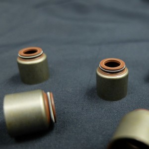 الصين مورد صمام ختم النفط الجذعية للسيارات رينو