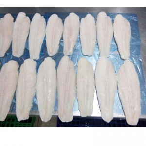 المجمدة Pangasius فيليه