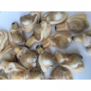 المجمدة RAW CLAM اللحوم