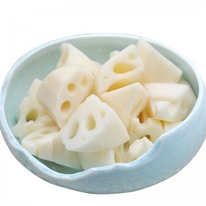 FROZEN LOTUS ROOT