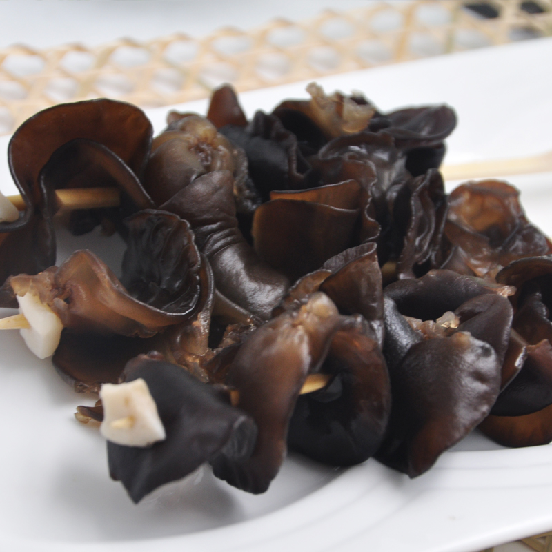 المجمدة السوداء FUNGUS