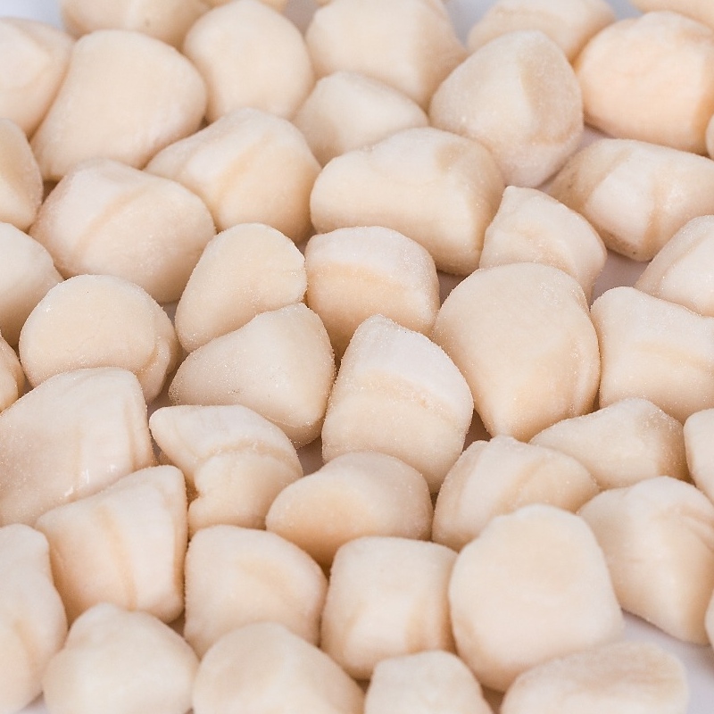 Frozen Bay Scallops meat