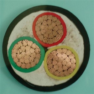 0.6 / 1kv 3 X 6mm2 LV كابلات الكهرباء البلاستيكية معزول النحاس الصلبة / مجدولة موصل