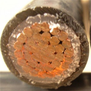 انخفاض الجهد مقاوم للحريق Frls كابل الطاقة مع موصل النحاس