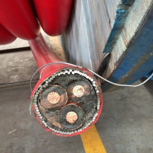 كابلات متوسطة الجهد متعددة النواة المدرعة مع STA / SWA مدرعة