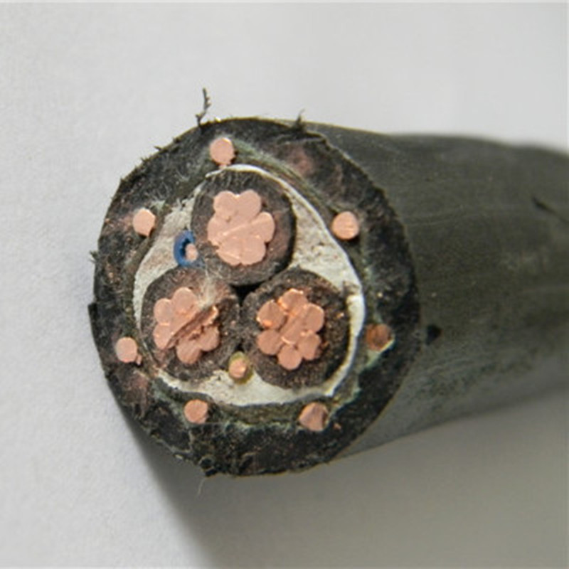 الخدمة الجوية سبليت Concentric Cable XLPE العازل 3x10mm2 قياسي ASTM IEC BS