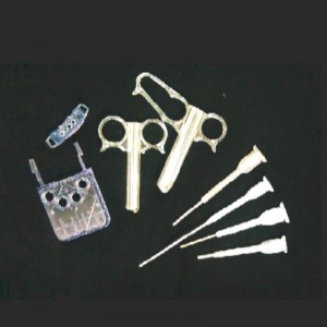 قوالب النموذج