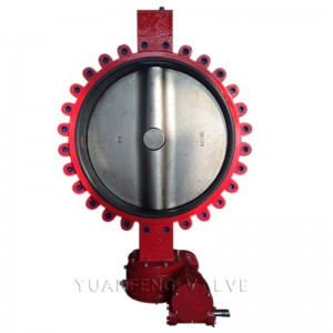 العروة نوع فراشة صمام