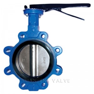 العروة نوع فراشة صمام