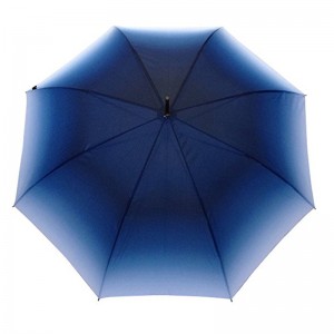 23inch التلقائي فتح لون النسيج التدرج التسويق مظلة مستقيمة