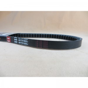 الخامس الحزام الخامس