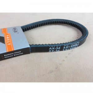 الخامس الحزام الخامس