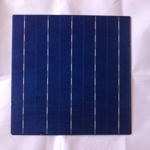 خلية الكريستالات