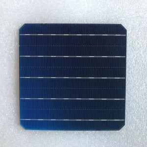 خلية أحادية البلورة