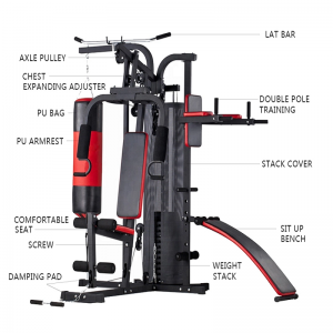الجمنازيوم الرئيسية