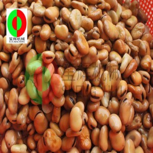 الفول مقشرة واسعة