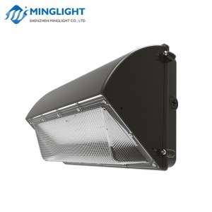 مصباح الجدار LED حزمة WPB2 100W