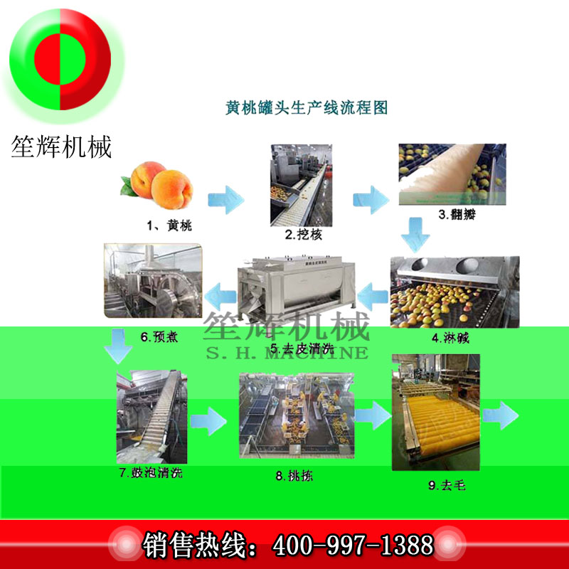 خط إنتاج تجهيز الفاكهة الكبيرة / خط إنتاج تجهيز الخوخ الأصفر