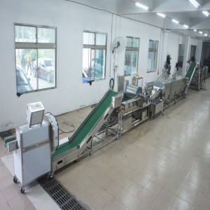 الكراث كبير قتل خط الانتاج