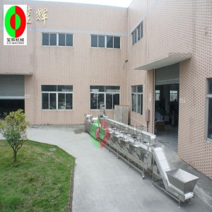 متعددة الوظائف غسالة الخضار / خط إنتاج غسالة الخضار / ثلاثة طبقة الفرز خط إنتاج تجهيز الخضروات النظيفة