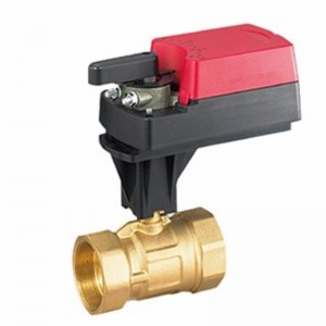 VF1 ... سلسلة صمام التحكم الكهربائي