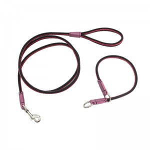 جديلة الحيوانات الأليفة المقود