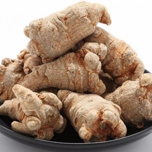 باناكس نوغينسينغ