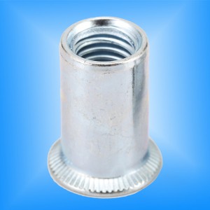 الغاطسة رئيس جولة الجسم