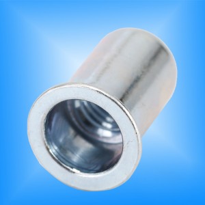 الغاطسة رئيس جولة الجسم