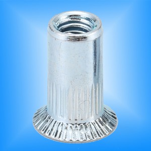 الغاطسة رئيس مخرش الجسم