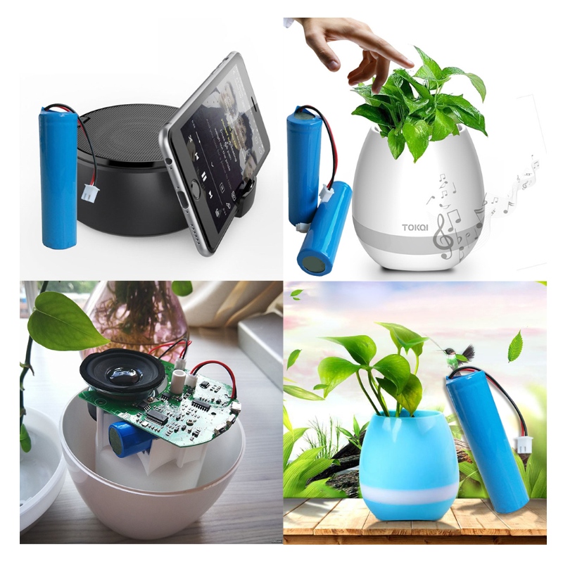 بطارية ليثيوم الجهد المعرفة