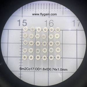 الصين الصانع مايكرو الدقة الصغيرة المغناطيس للمحرك