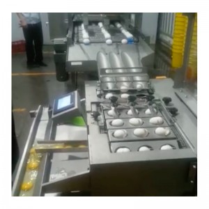 wxd96 غسل البيض مجفف محطم