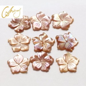 أم لؤلؤة قذيفة المجوهرات المواد