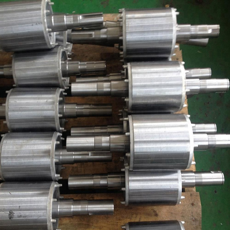 مغناطيس دائم الدوار مغناطيس دائم الدوار مغناطيس دائم الدوار