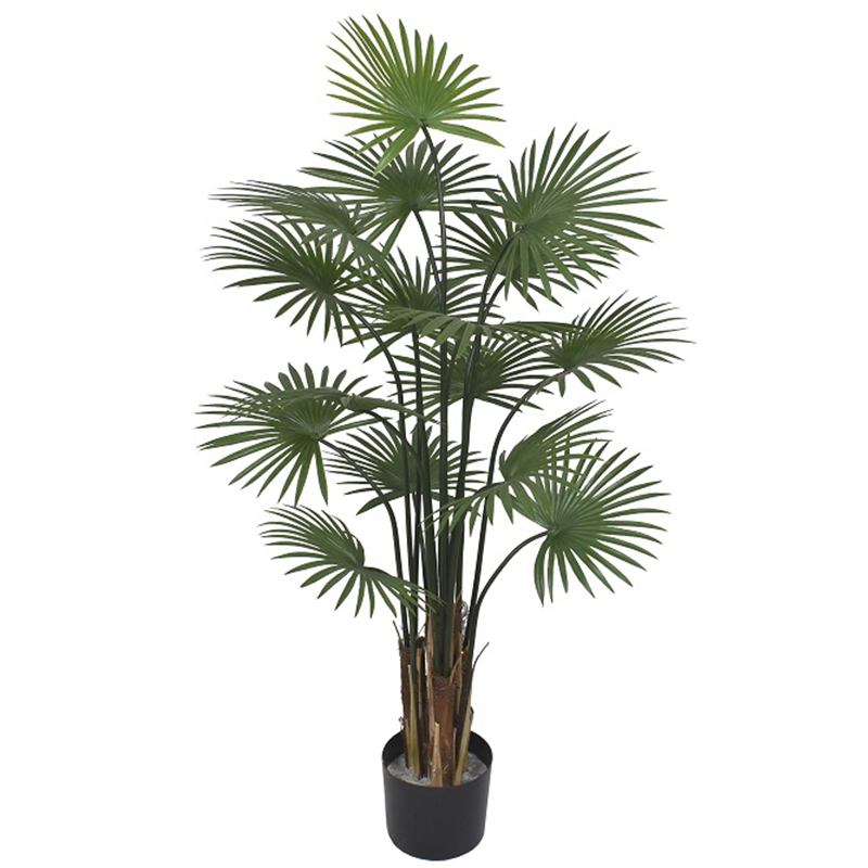 رقم العضوية