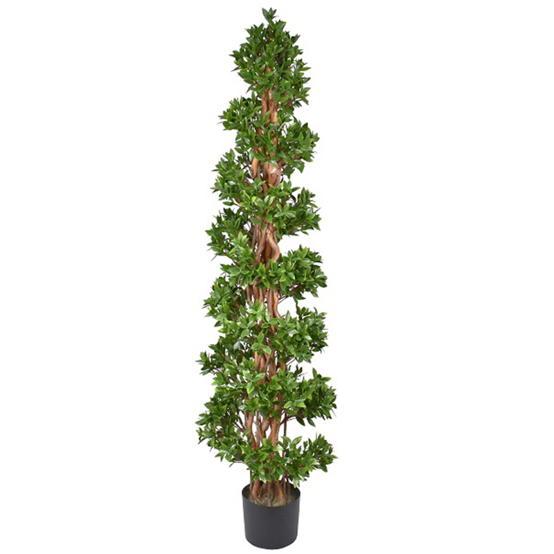 رقم العضوية