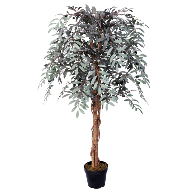 رقم العضوية