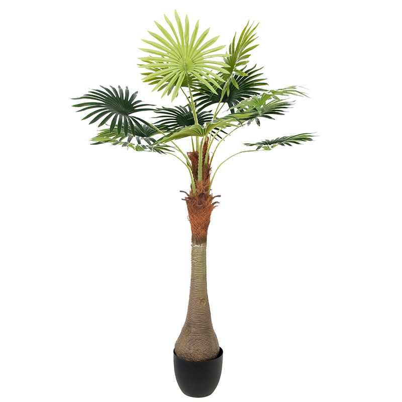 رقم العضوية