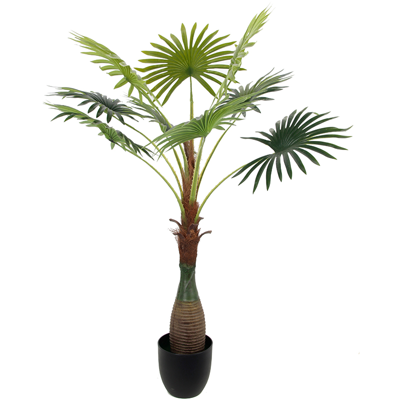 رقم العضوية